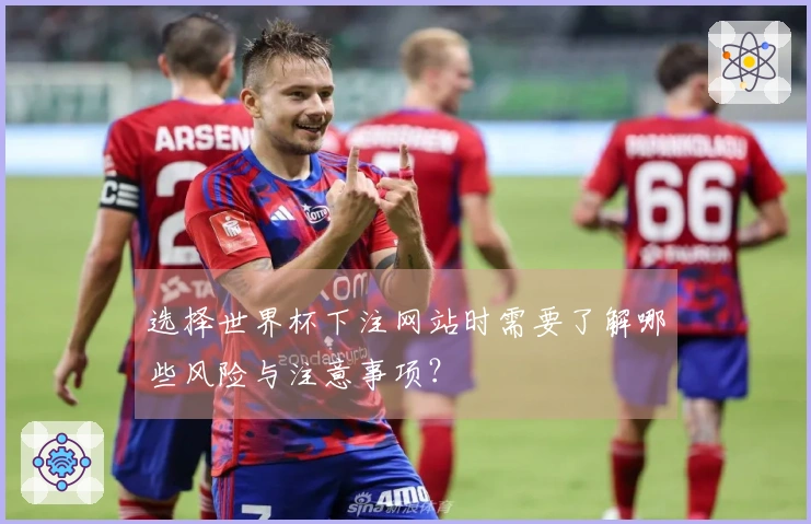 选择世界杯下注网站时需要了解哪些风险与注意事项?