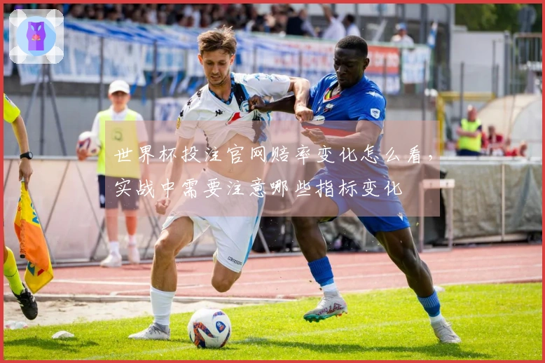 世界杯投注官网赔率变化怎么看，实战中需要注意哪些指标变化