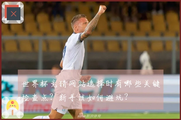 世界杯竞猜网站选择时有哪些关键检查点？新手该如何避坑？