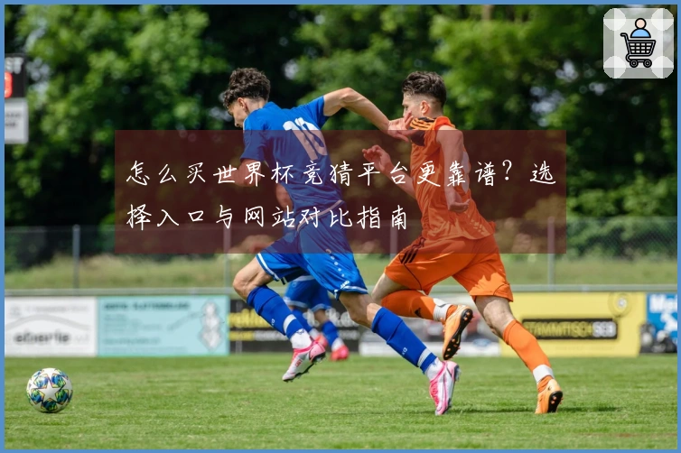 怎么买世界杯竞猜平台更靠谱？选择入口与网站对比指南